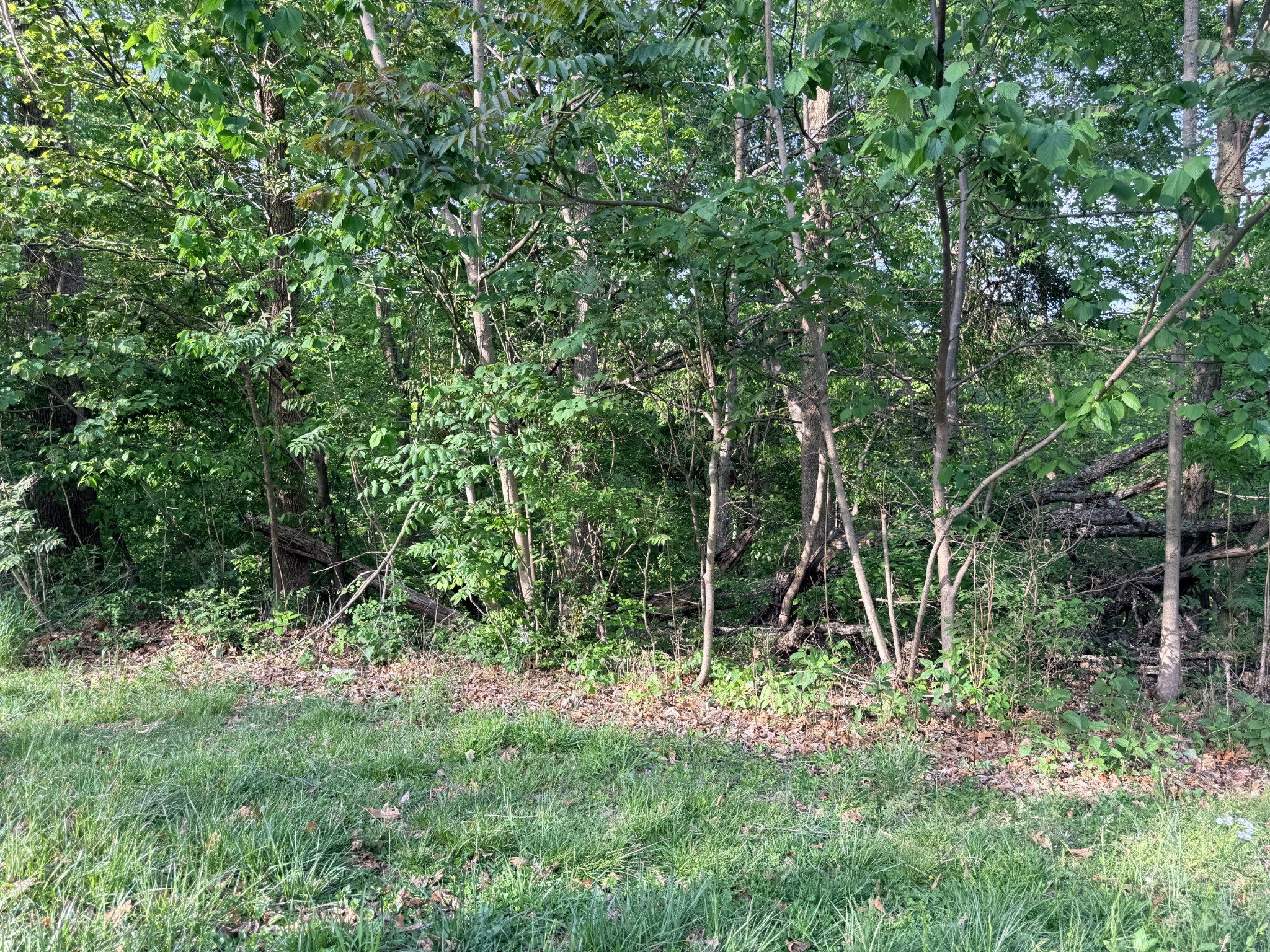 0 Wildwood Street White House TN 37188