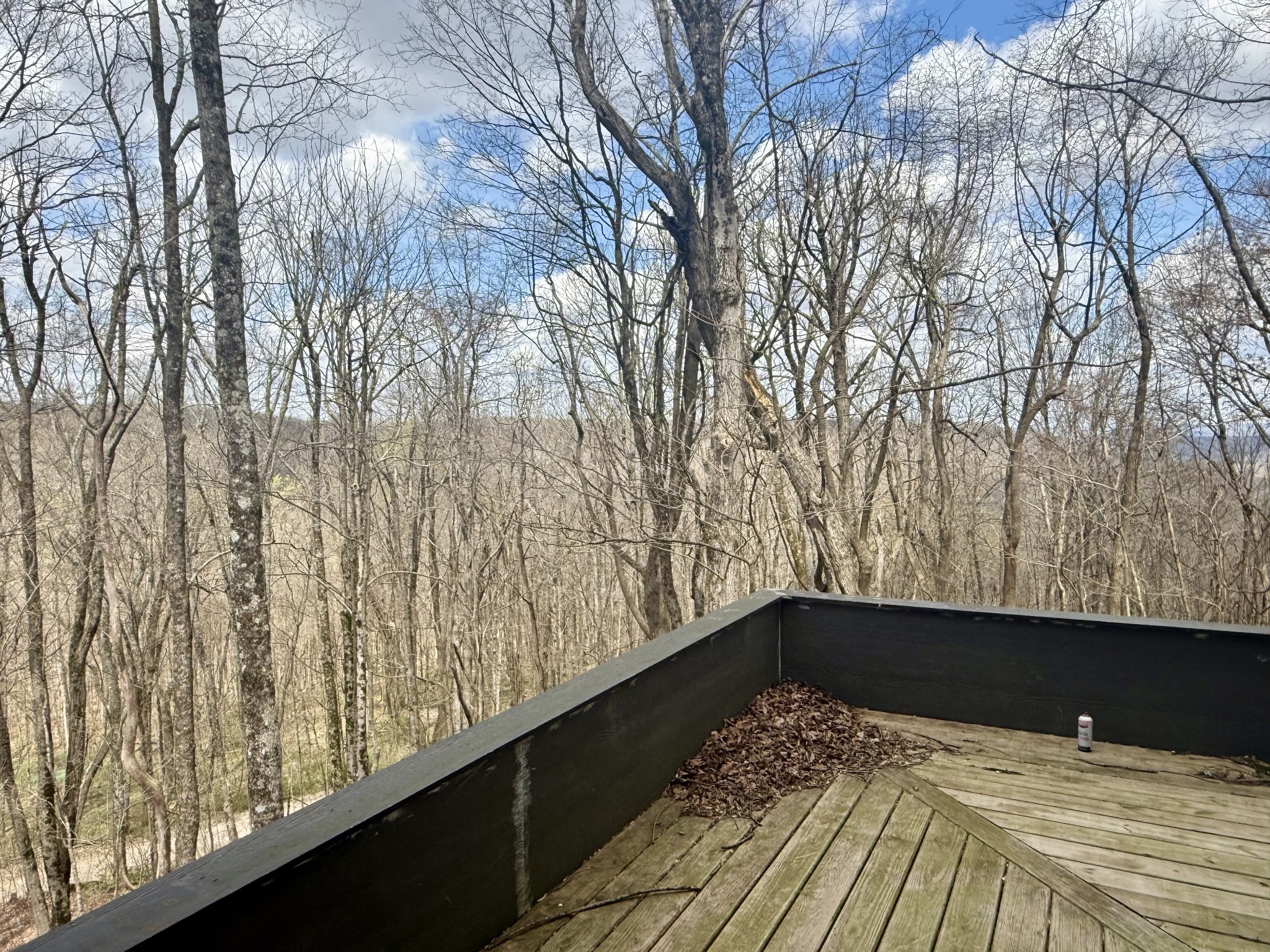 3174 Gap Road Altamont TN 37301