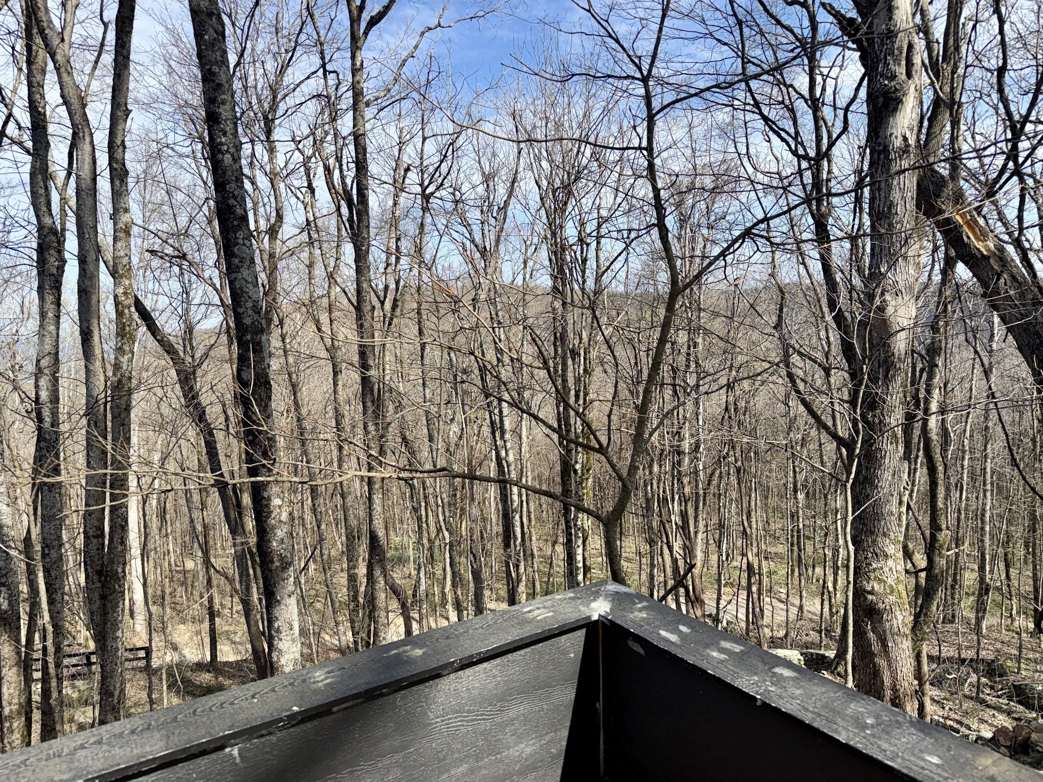 3174 Gap Road Altamont TN 37301