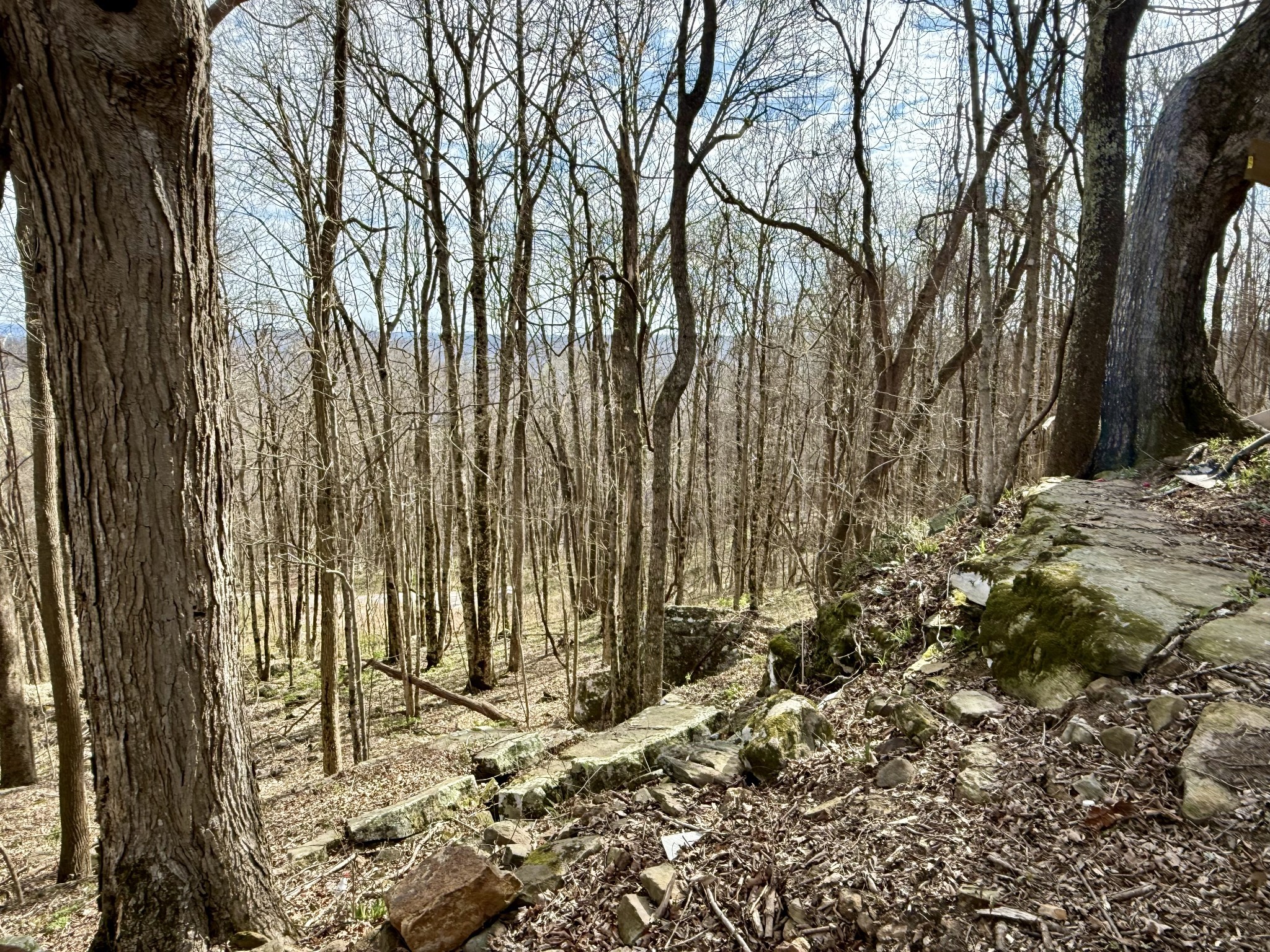 3174 Gap Road Altamont TN 37301