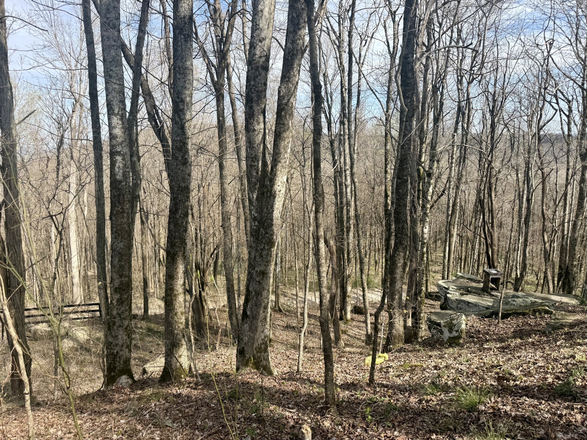 3174 Gap Road Altamont TN 37301
