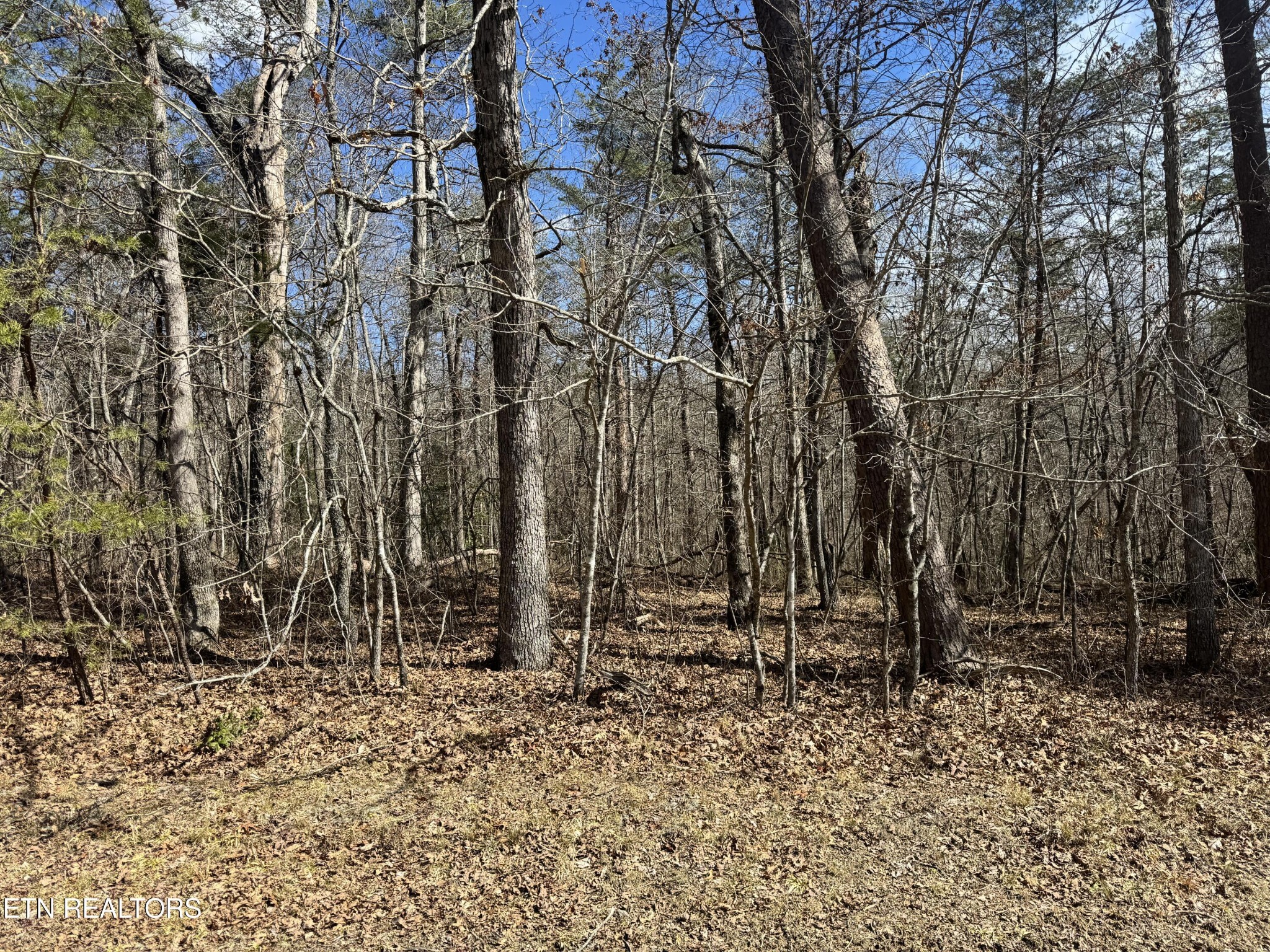 0 Cumberland Lakes Drive Monterey TN 38574