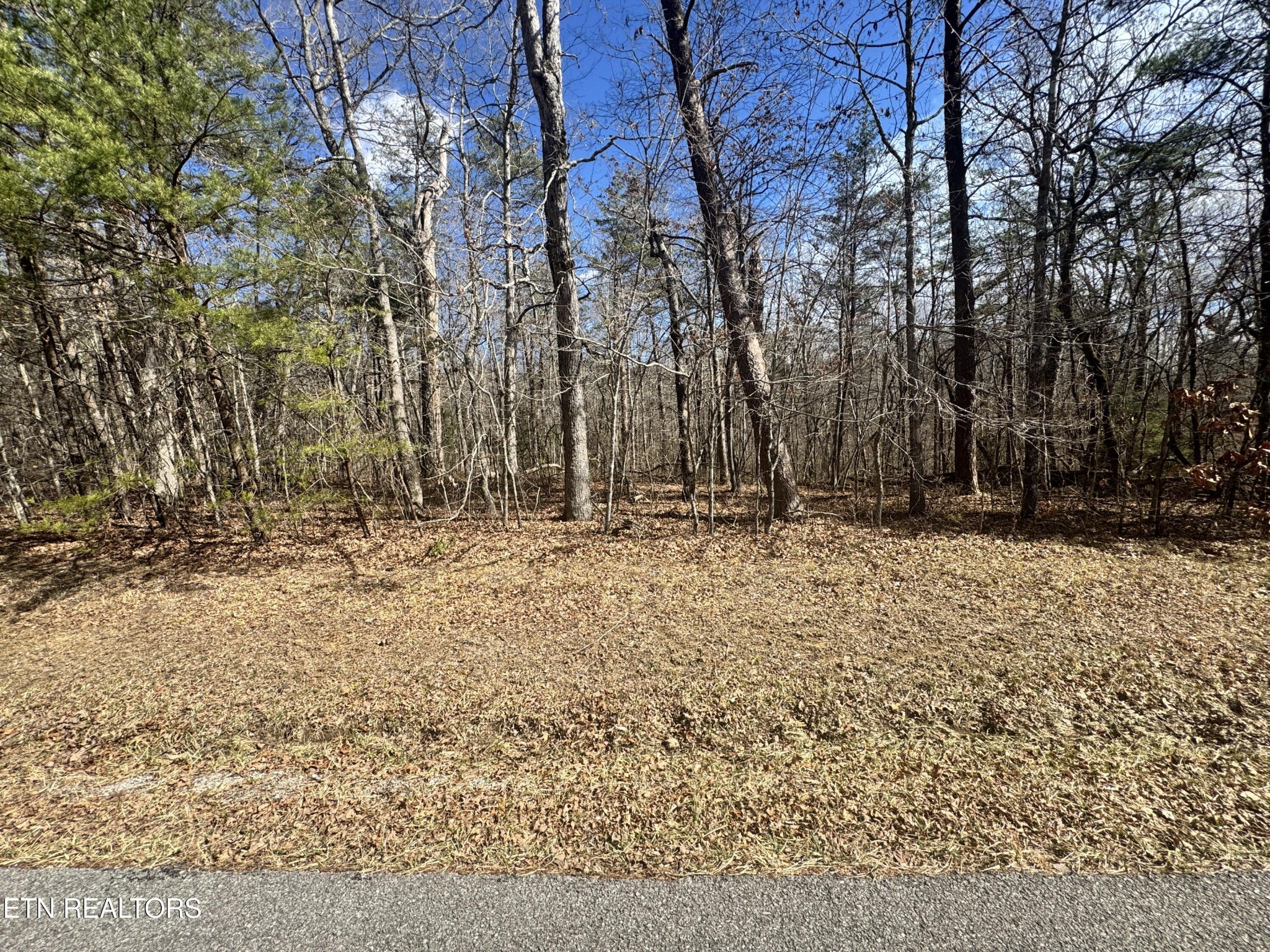 0 Cumberland Lakes Drive Monterey TN 38574