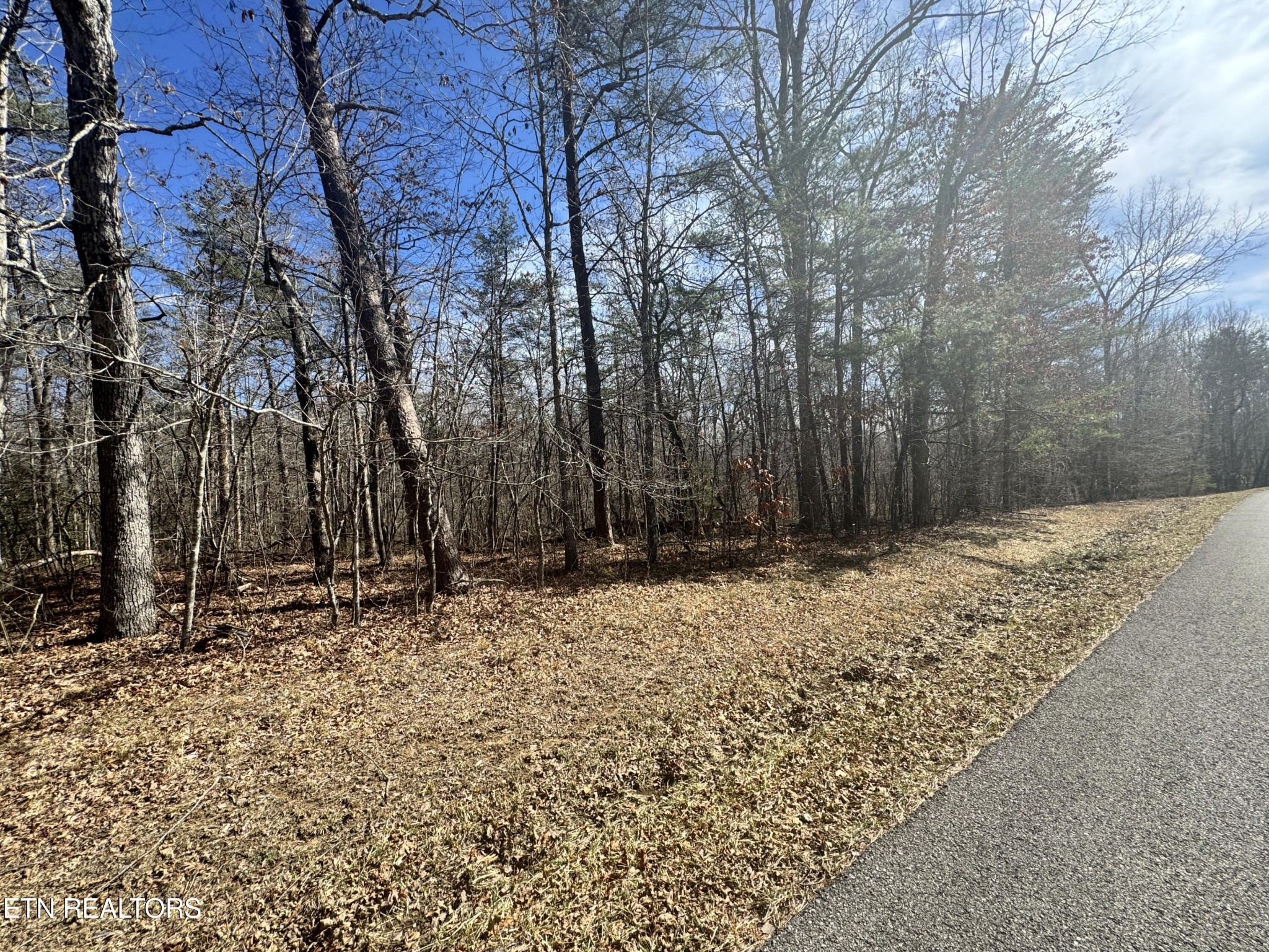 0 Cumberland Lakes Drive Monterey TN 38574