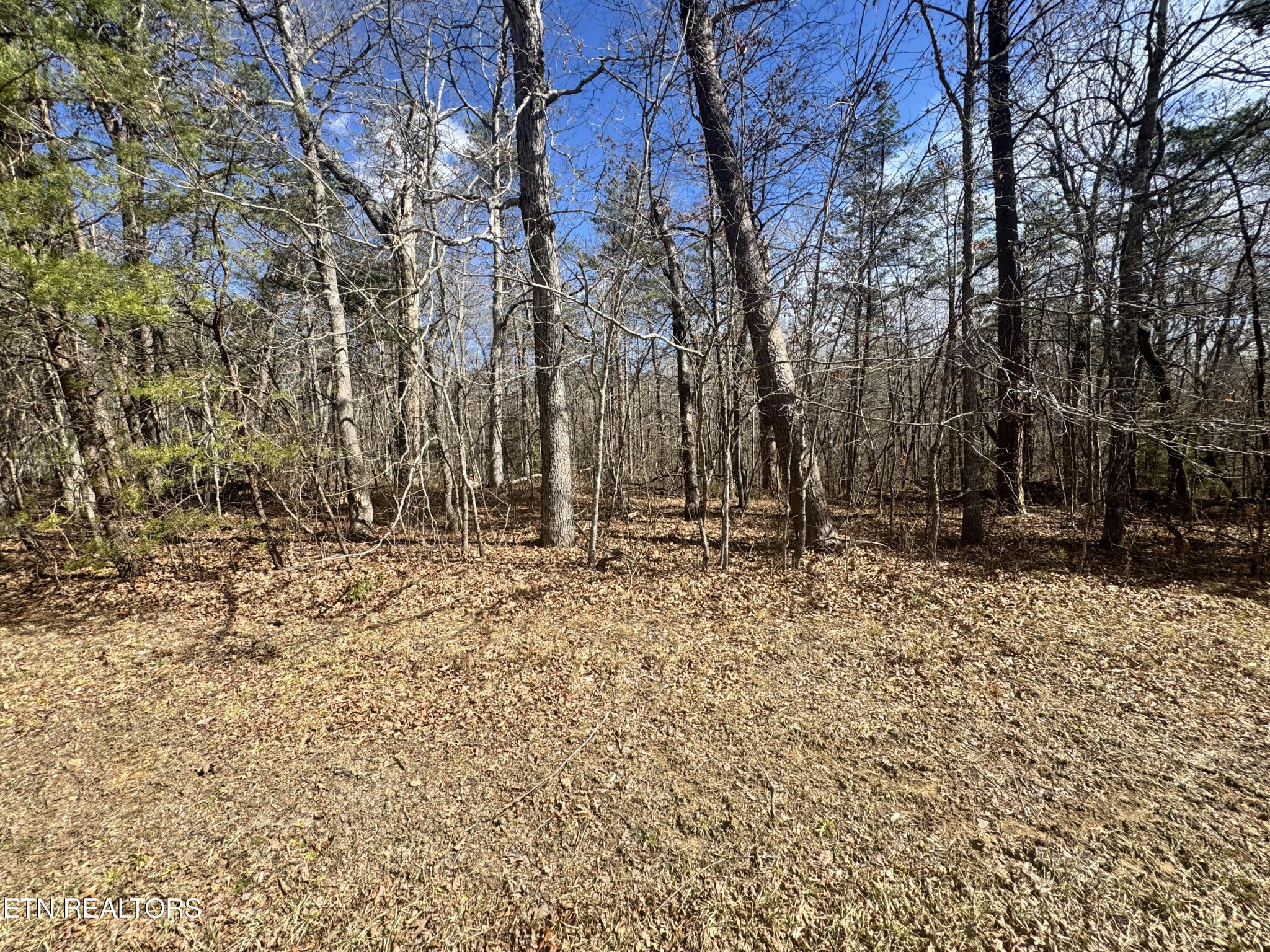 0 Cumberland Lakes Drive Monterey TN 38574