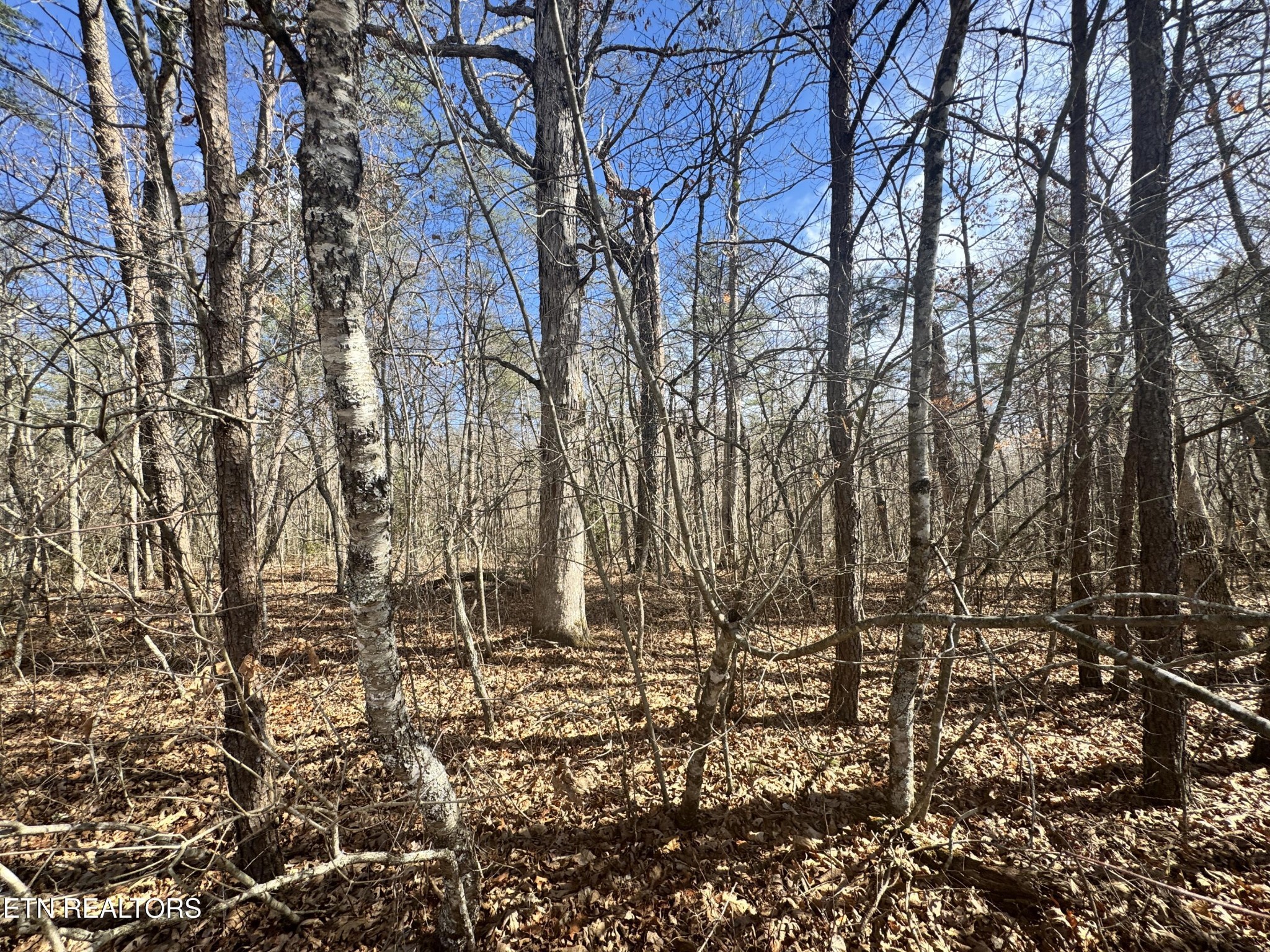 0 Cumberland Lakes Drive Monterey TN 38574