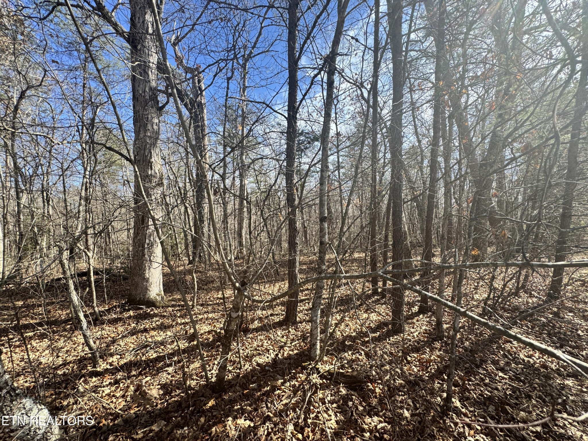 0 Cumberland Lakes Drive Monterey TN 38574