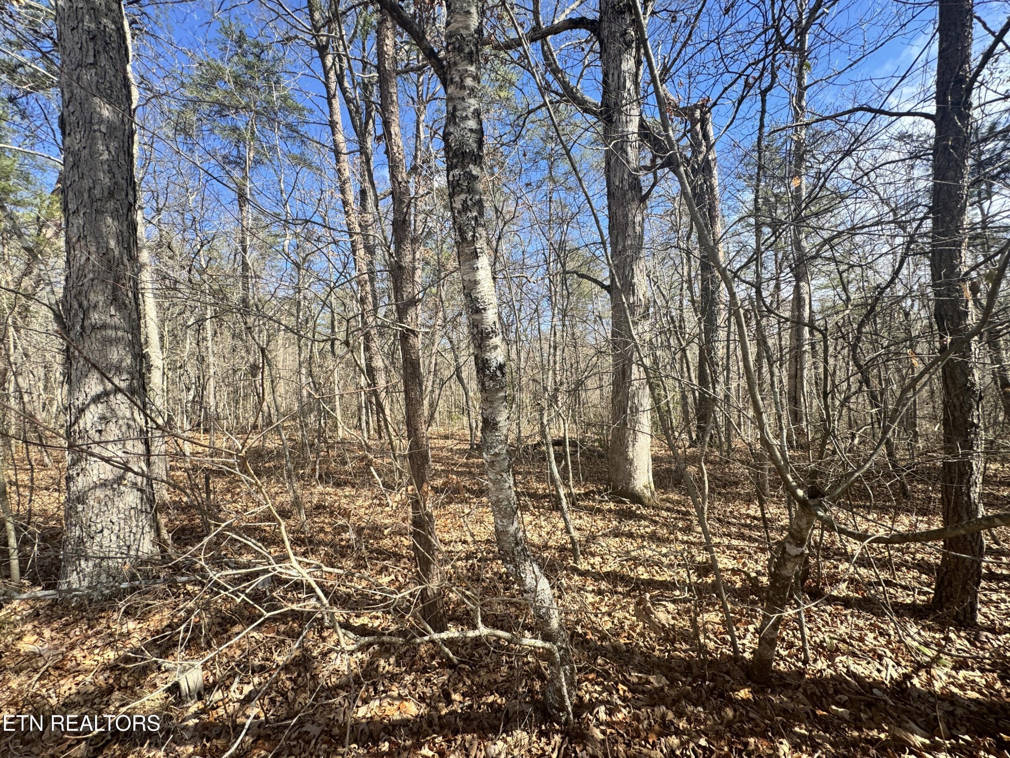 0 Cumberland Lakes Drive Monterey TN 38574