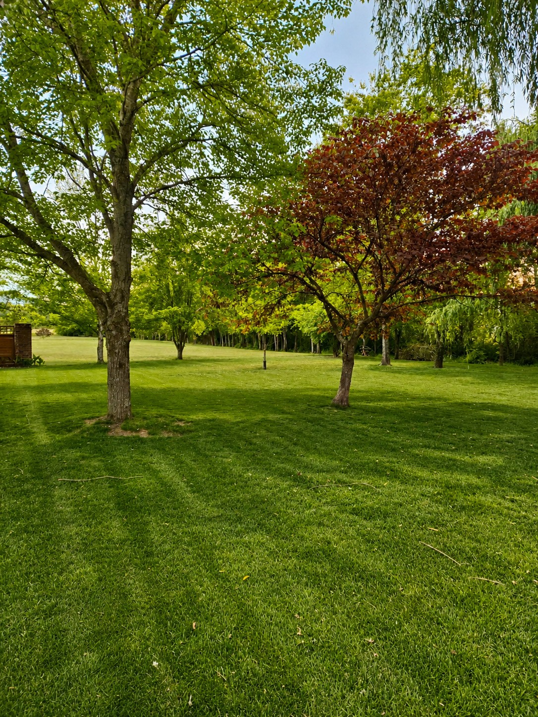 2205 Dominick Drive Nolensville TN 37135