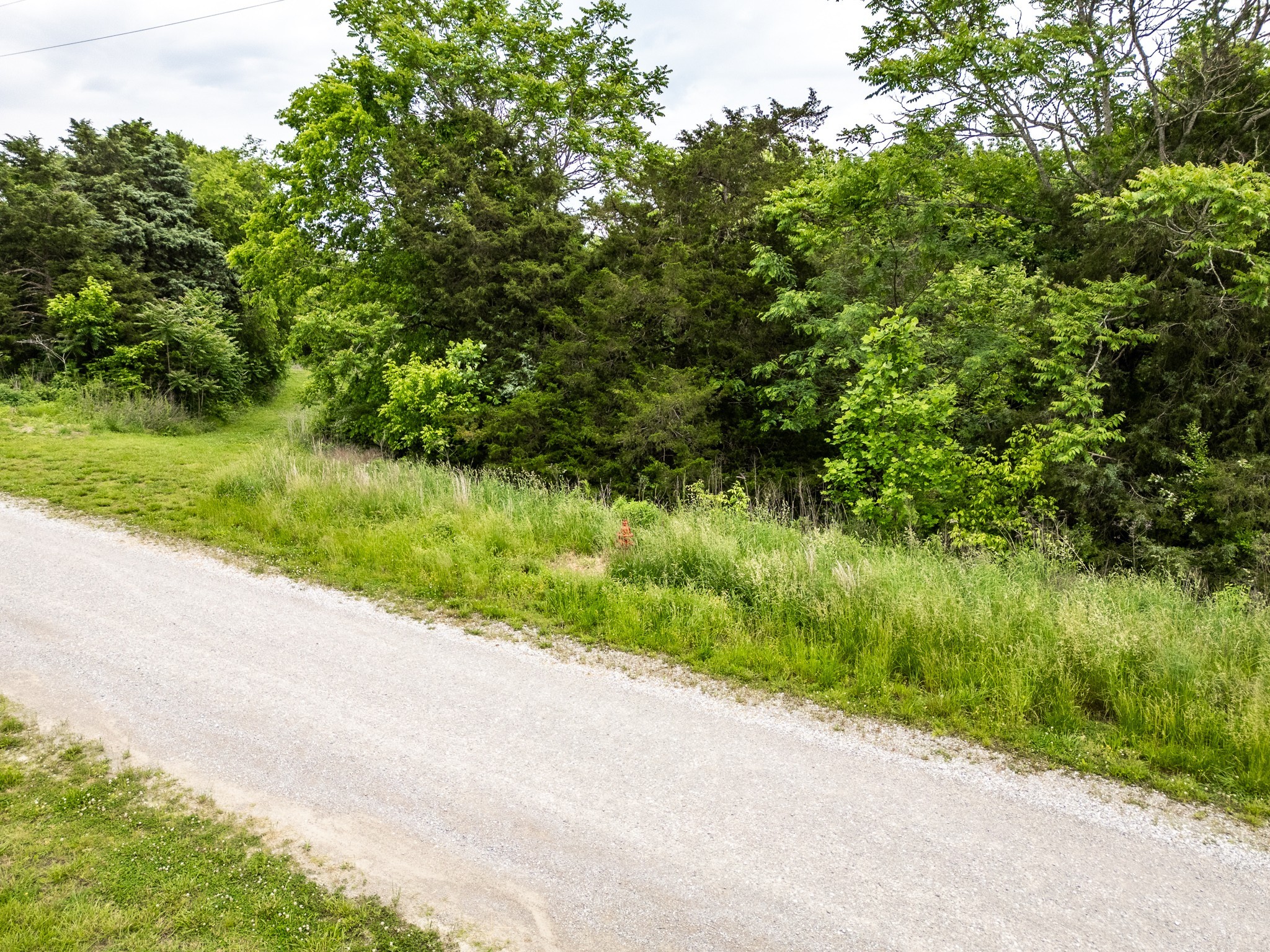 0 Lake Bluff Road Baxter TN 38544