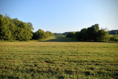 1 Mount Joy Road Mount Pleasant TN 38474