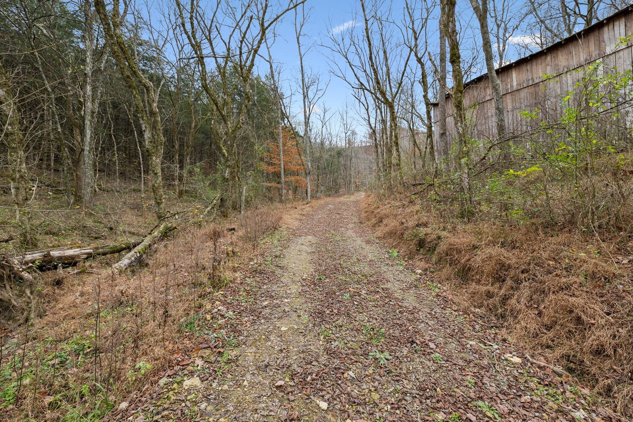 0 Long Branch Road Lancaster TN 38569
