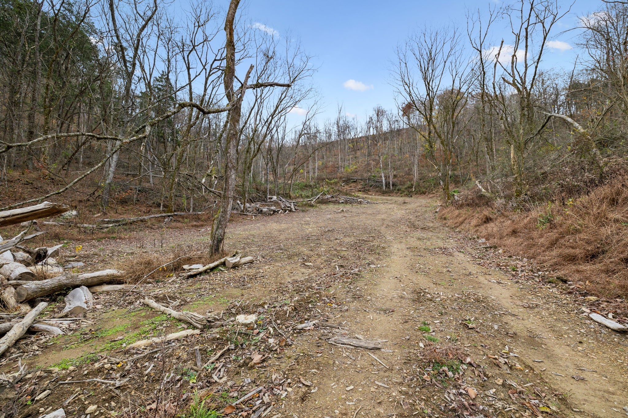 0 Long Branch Road Lancaster TN 38569