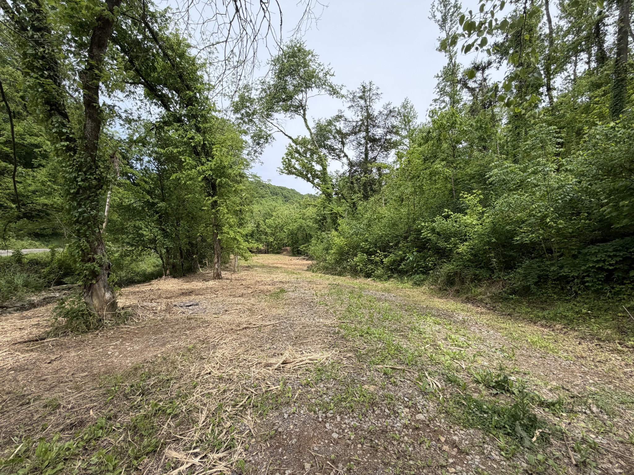 0 Long Branch Road Lancaster TN 38569