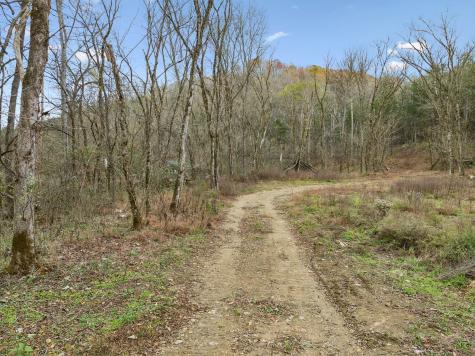 0 Long Branch Road Lancaster TN 38569