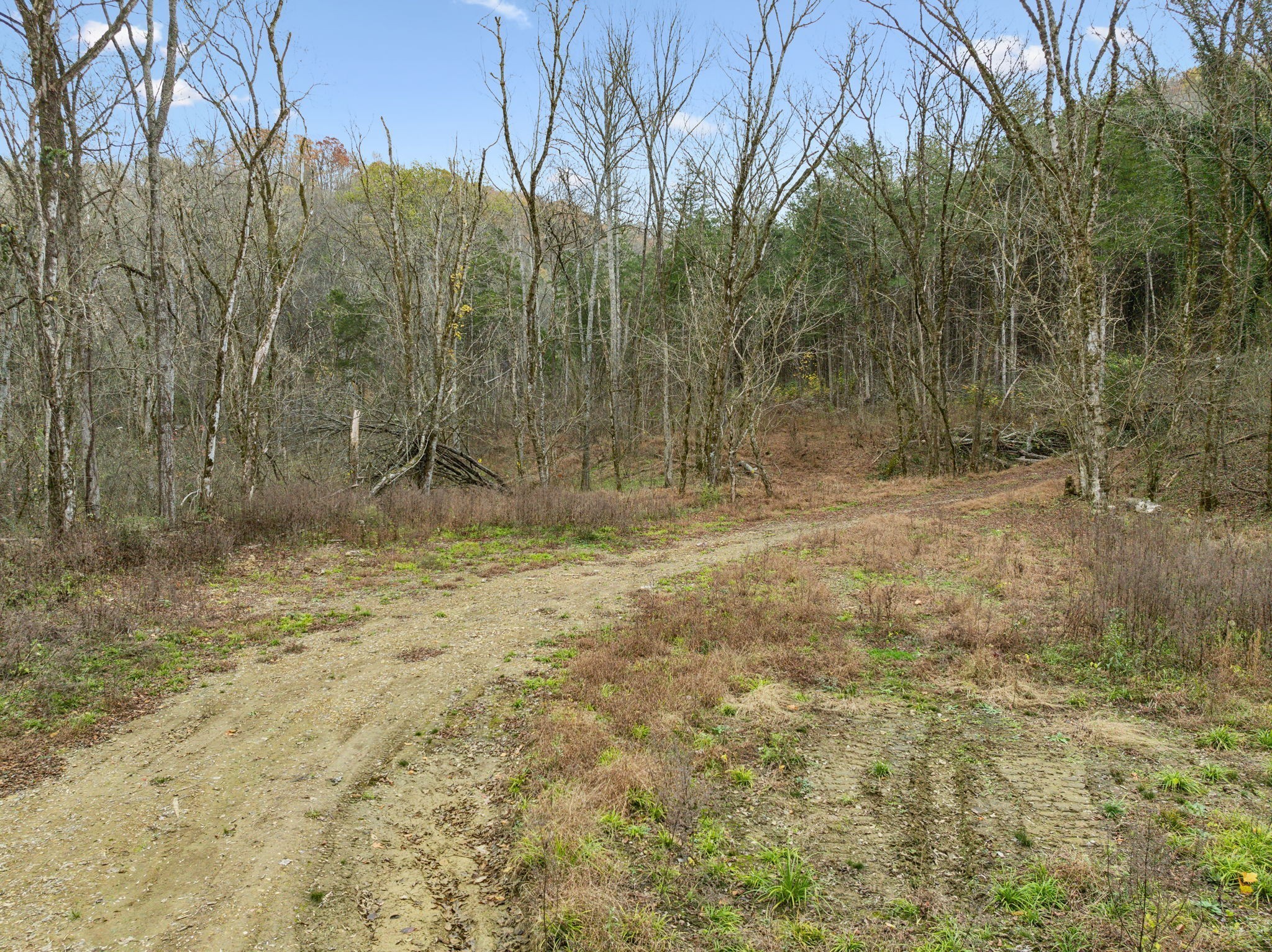 0 Long Branch Road Lancaster TN 38569
