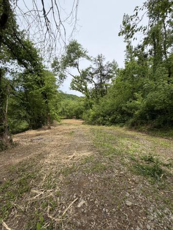 0 Long Branch Road Lancaster TN 38569