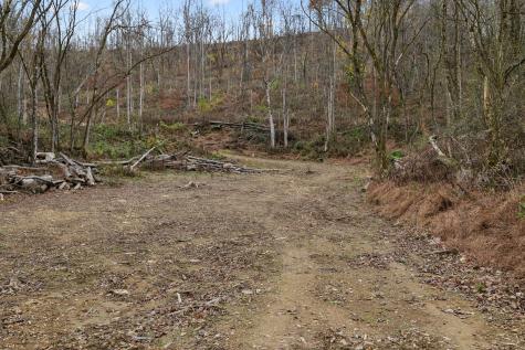 0 Long Branch Road Lancaster TN 38569