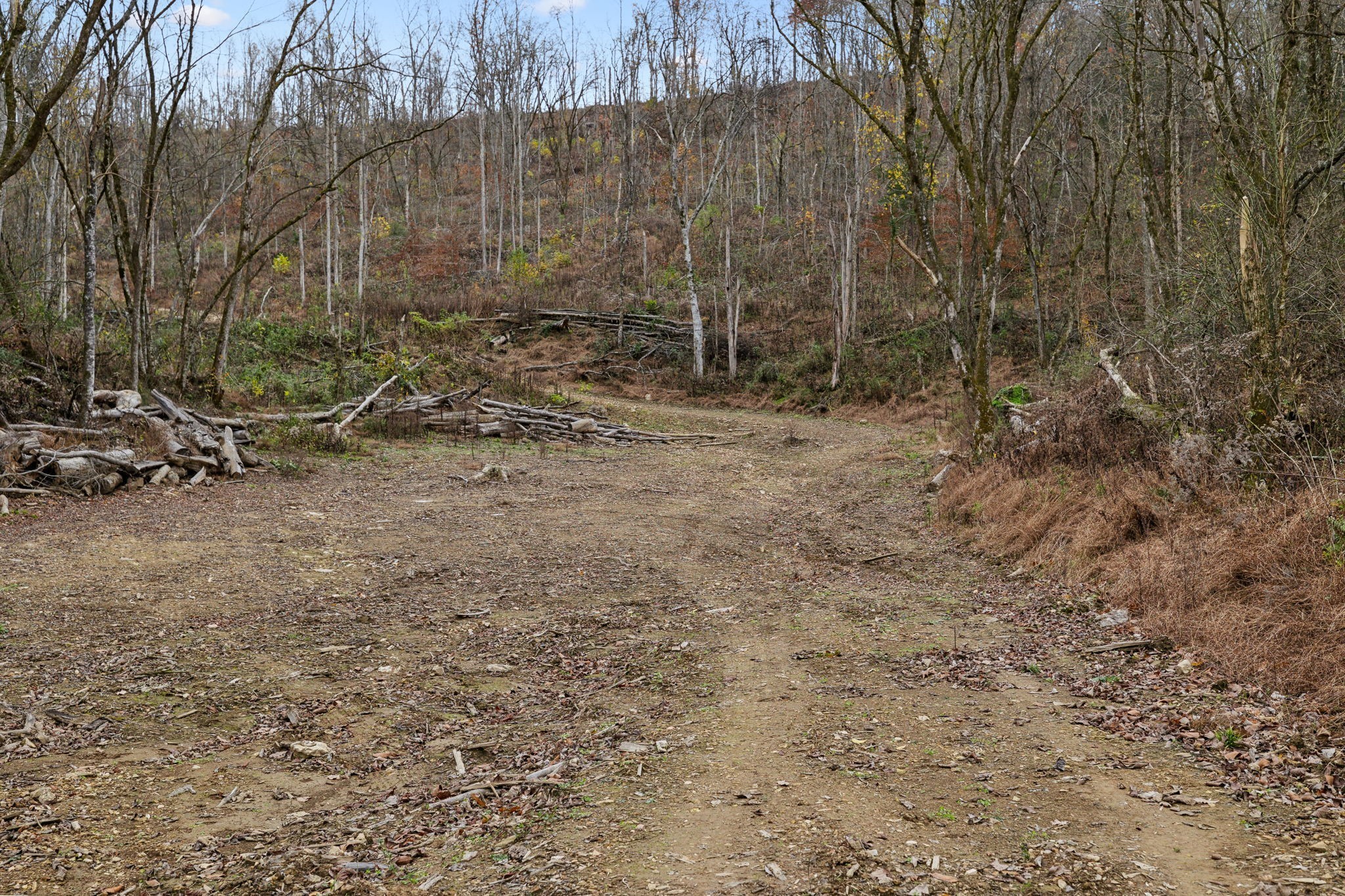 0 Long Branch Road Lancaster TN 38569