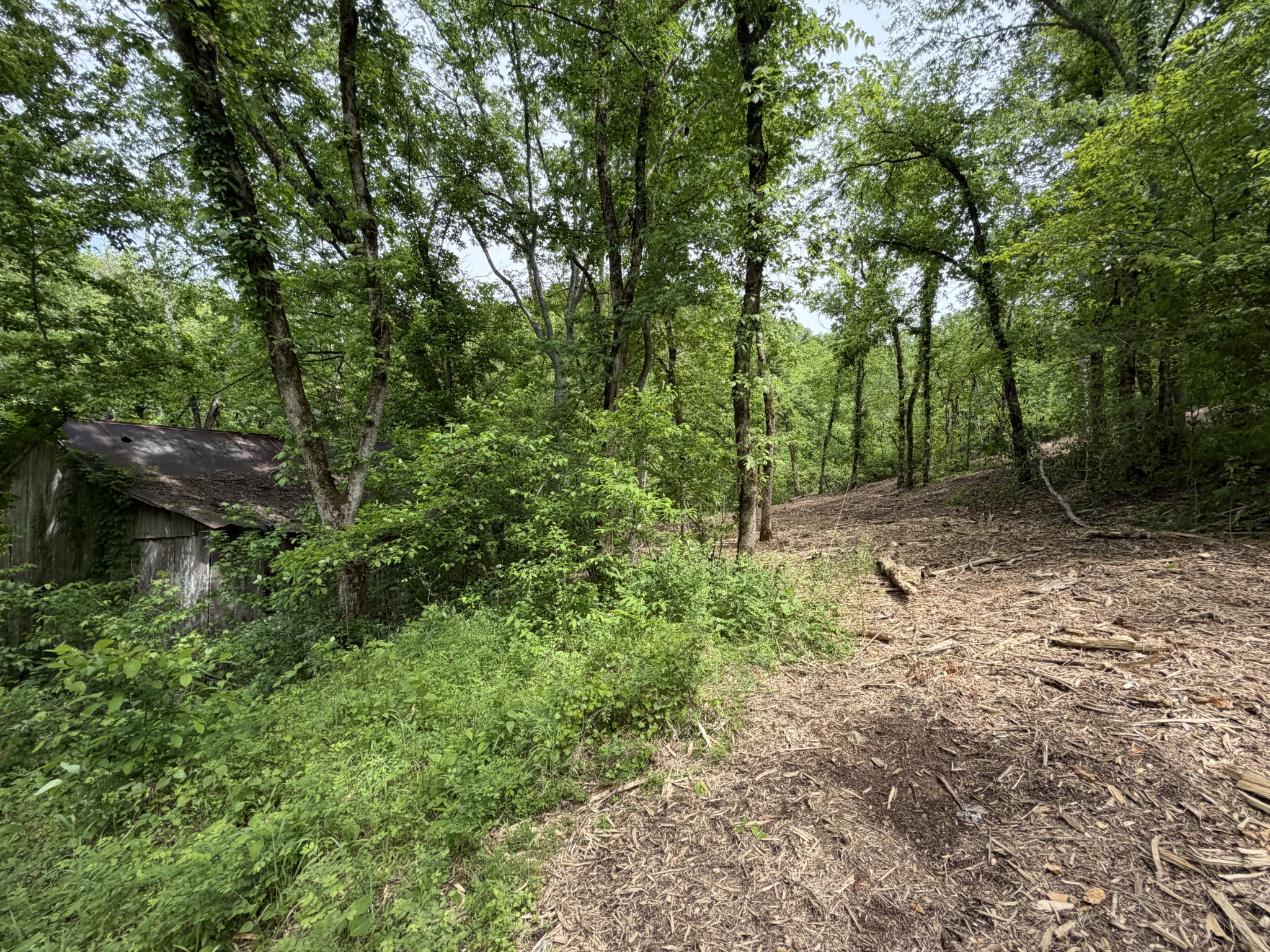 0 Long Branch Road Lancaster TN 38569