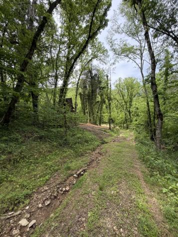 0 Long Branch Road Lancaster TN 38569