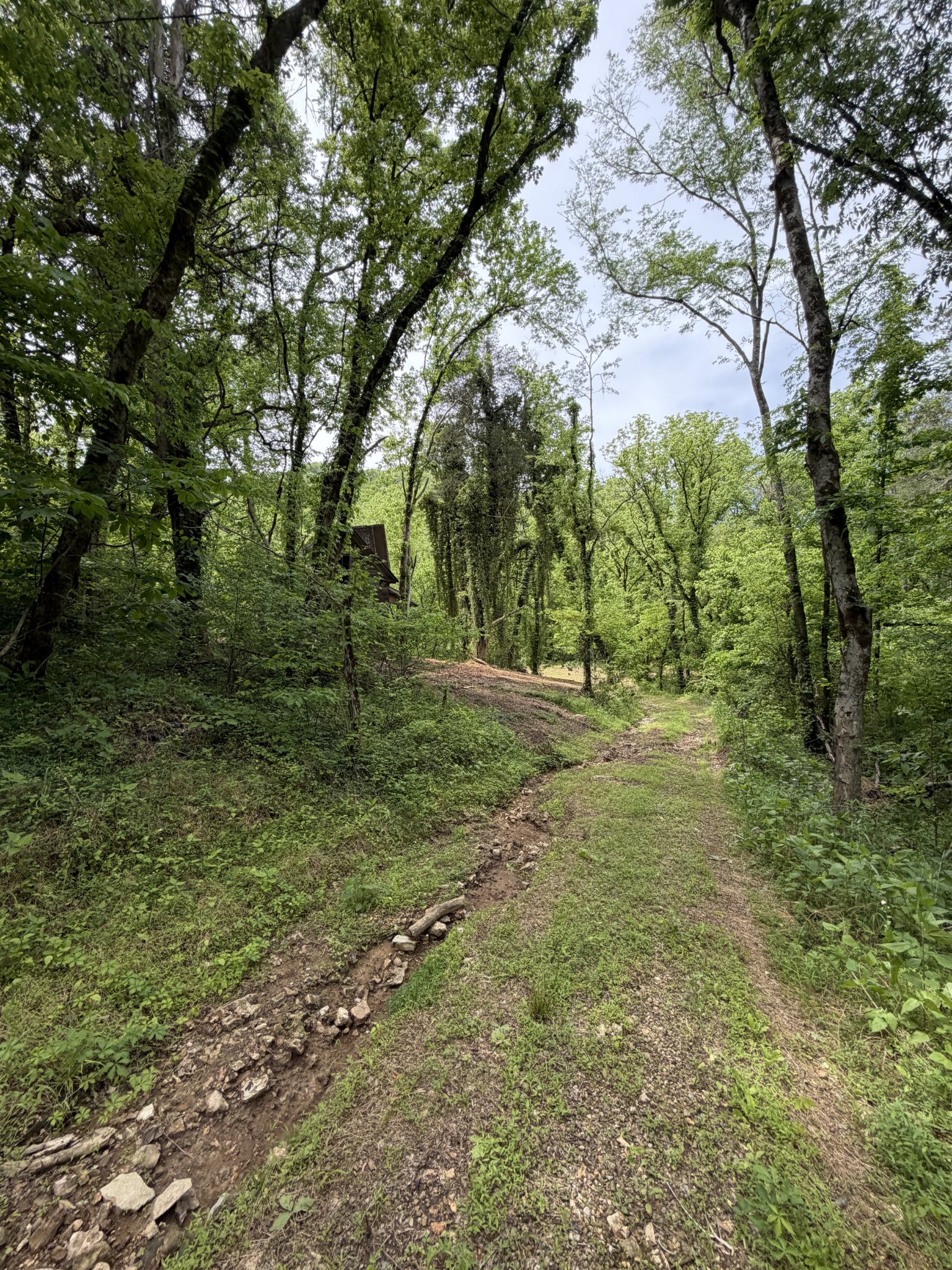 0 Long Branch Road Lancaster TN 38569