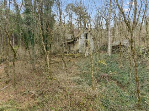 0 Long Branch Road Lancaster TN 38569