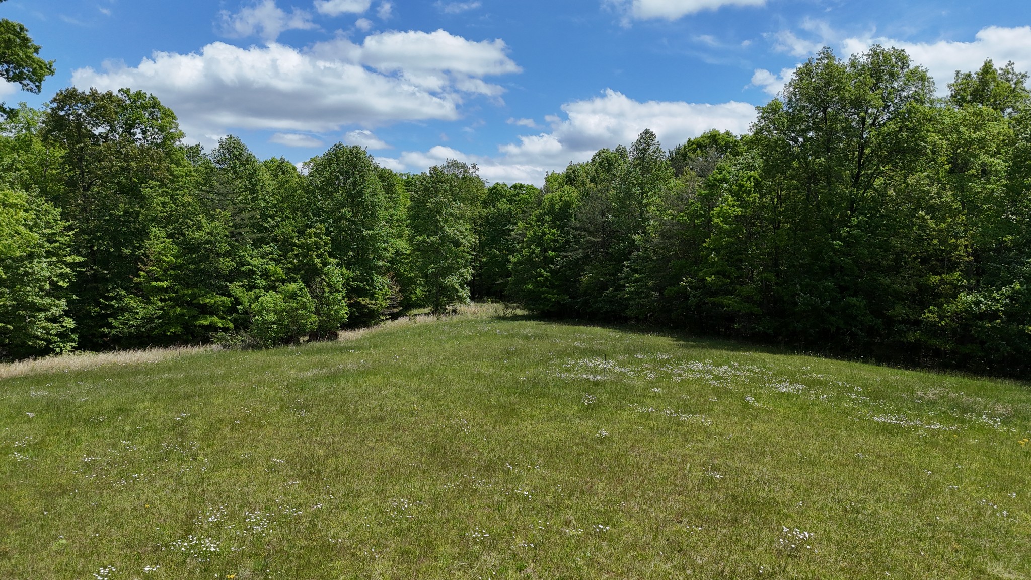 7549 Harrison Ferry Road Mcminnville TN 37110
