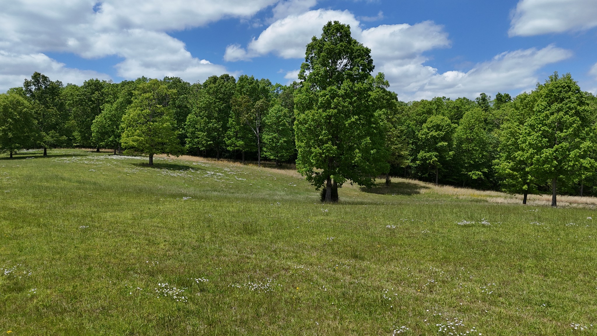 7549 Harrison Ferry Road Mcminnville TN 37110