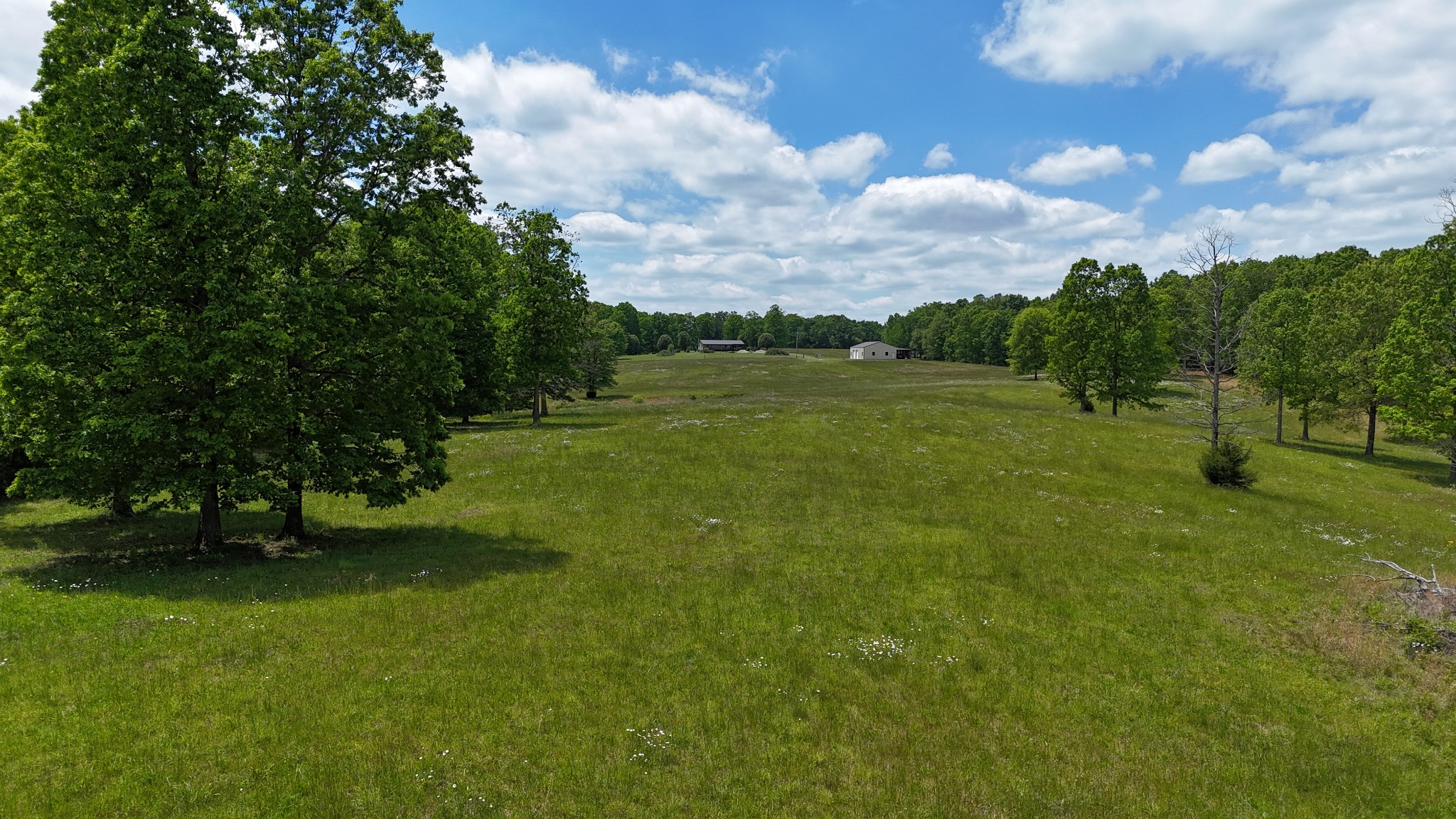 7549 Harrison Ferry Road Mcminnville TN 37110