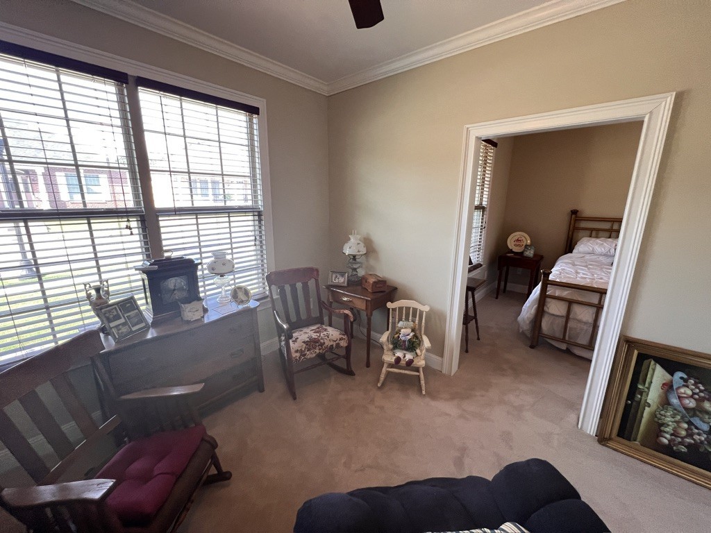 116 Riley Circle Fayetteville TN 37334
