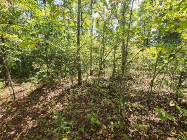 0 Glenobey Road Jamestown TN 38556