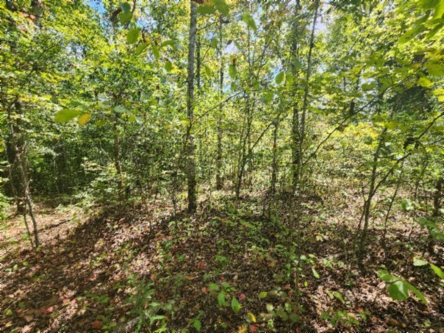 0 Glenobey Road Jamestown TN 38556