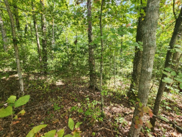 0 Glenobey Road Jamestown TN 38556