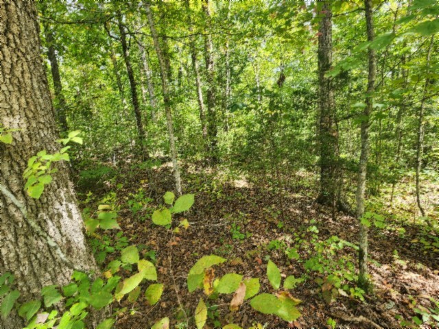 0 Glenobey Road Jamestown TN 38556