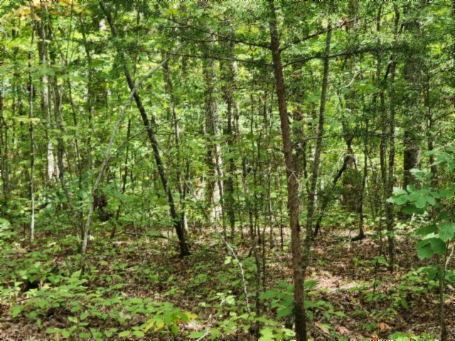 0 Glenobey Road Jamestown TN 38556