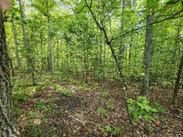 0 Glenobey Road Jamestown TN 38556