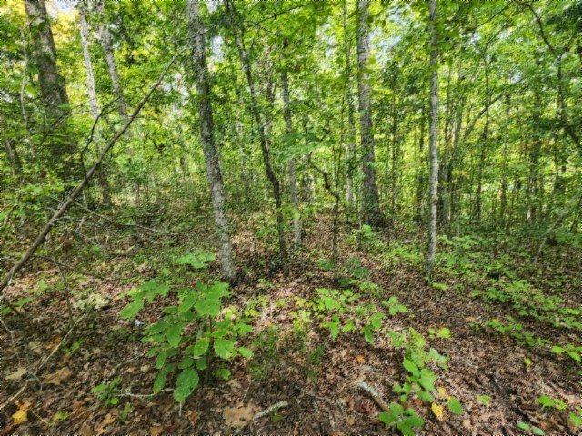 0 Glenobey Road Jamestown TN 38556