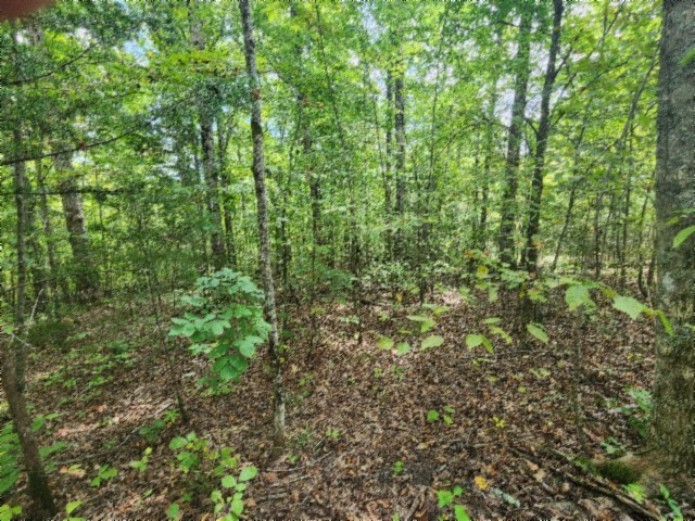 0 Glenobey Road Jamestown TN 38556