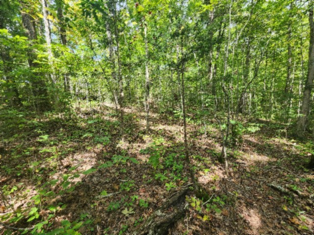 0 Glenobey Road Jamestown TN 38556