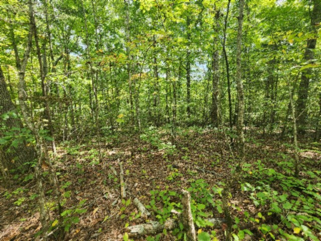 0 Glenobey Road Jamestown TN 38556