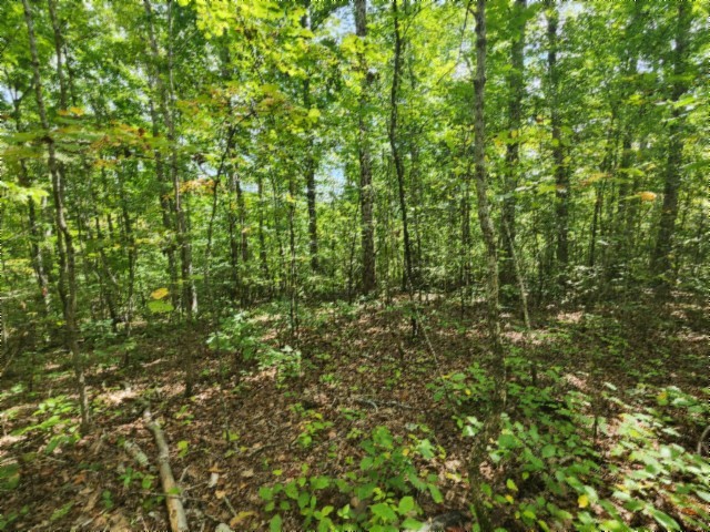 0 Glenobey Road Jamestown TN 38556