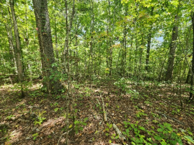 0 Glenobey Road Jamestown TN 38556