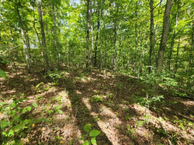 0 Glenobey Road Jamestown TN 38556