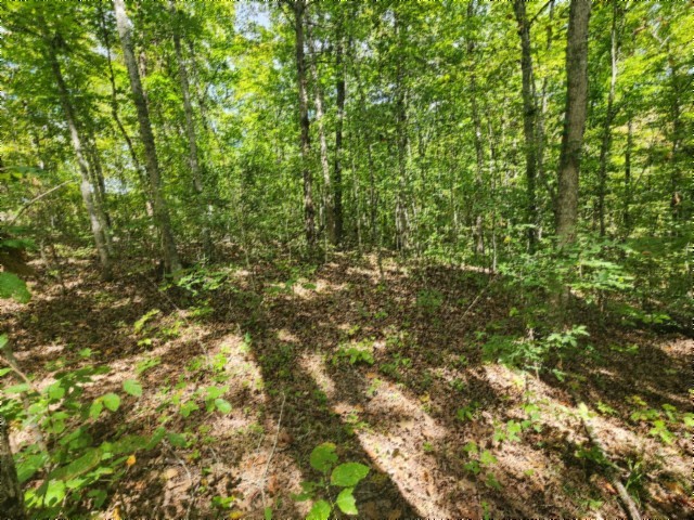 0 Glenobey Road Jamestown TN 38556