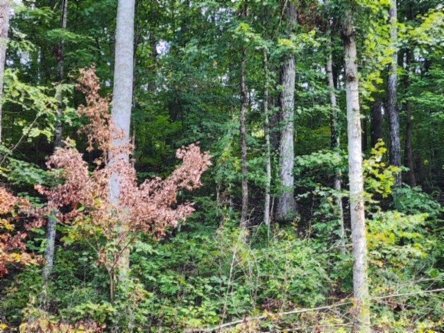 0 Glenobey Road Jamestown TN 38556