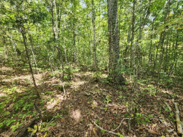 0 Glenobey Road Jamestown TN 38556