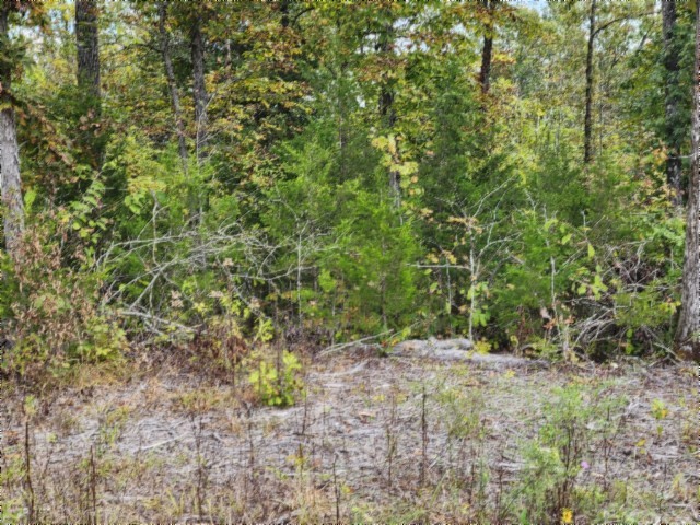 0 Glenobey Road Jamestown TN 38556