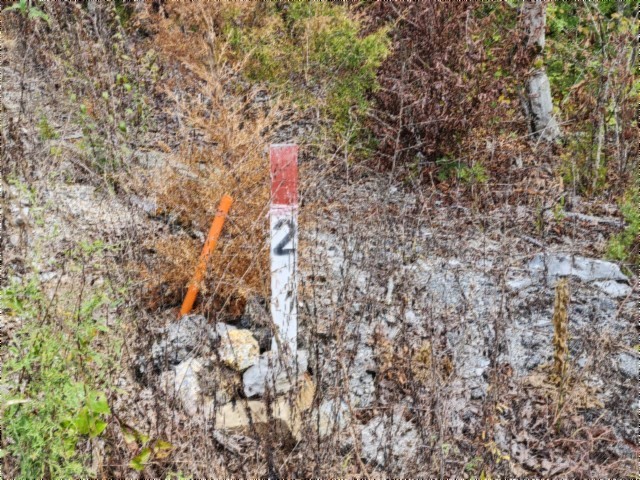0 Glenobey Road Jamestown TN 38556