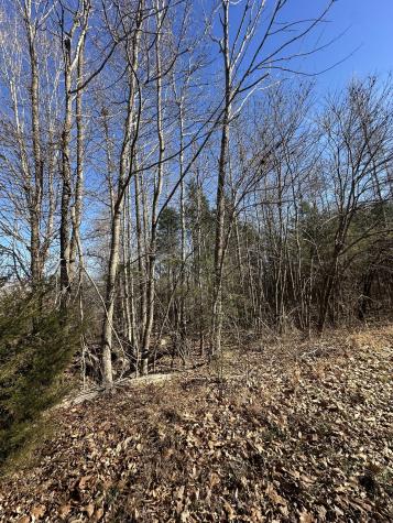 4361 York Landing Road Woodlawn TN 37191